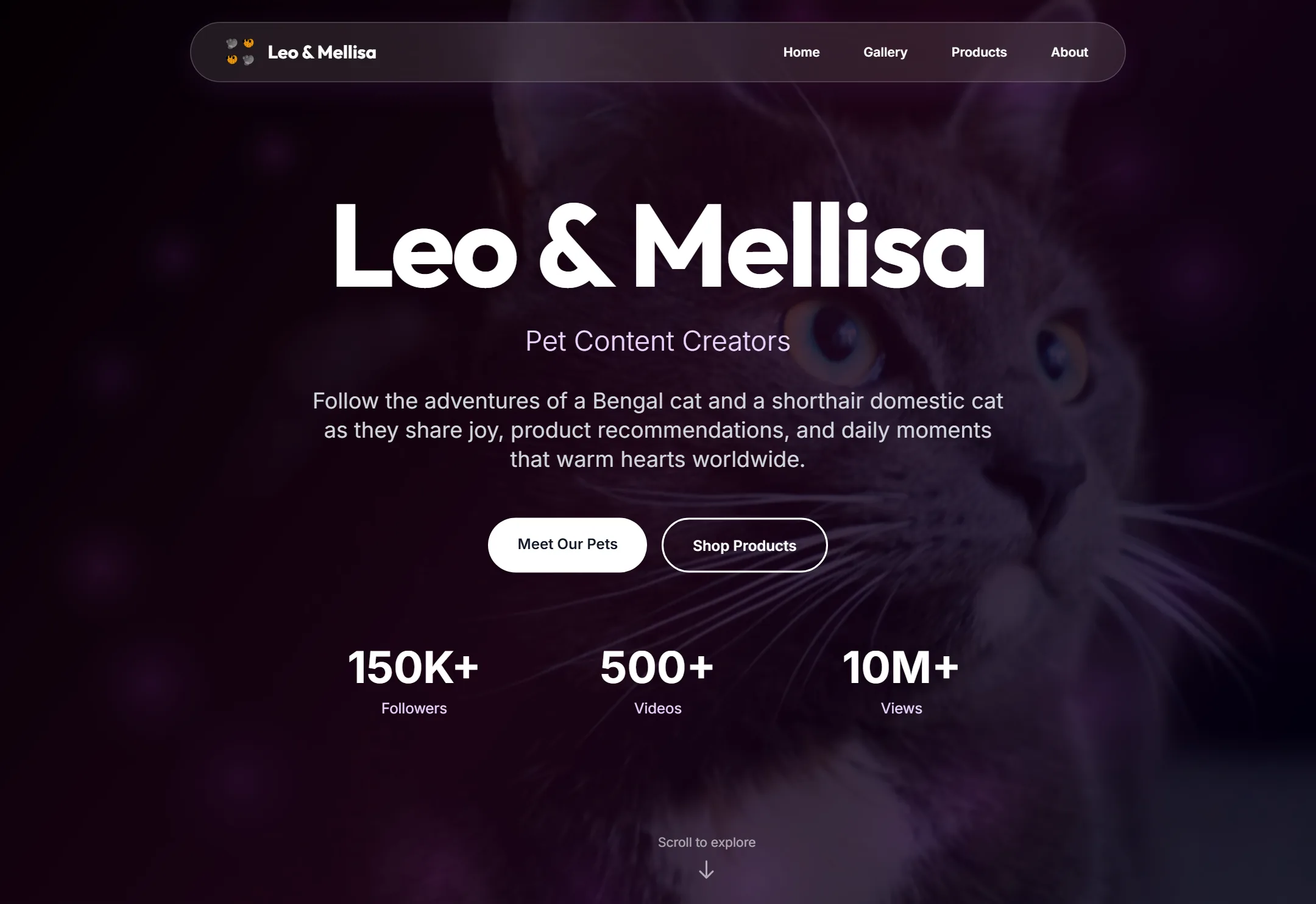 Famous Catz website